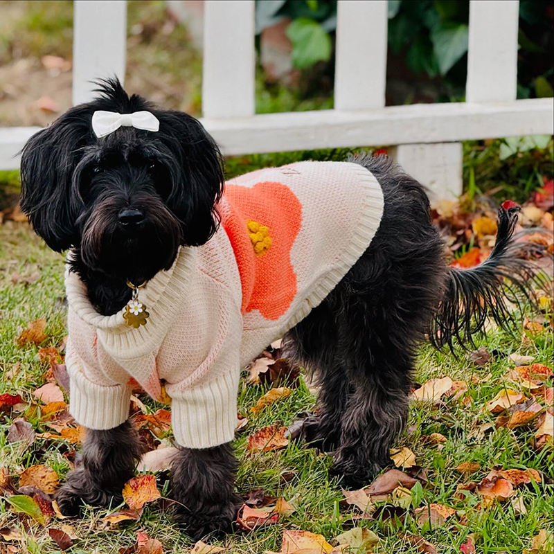 Gemütlicher Weihnachts-Hundepullover – Weiches Festtagsdesign