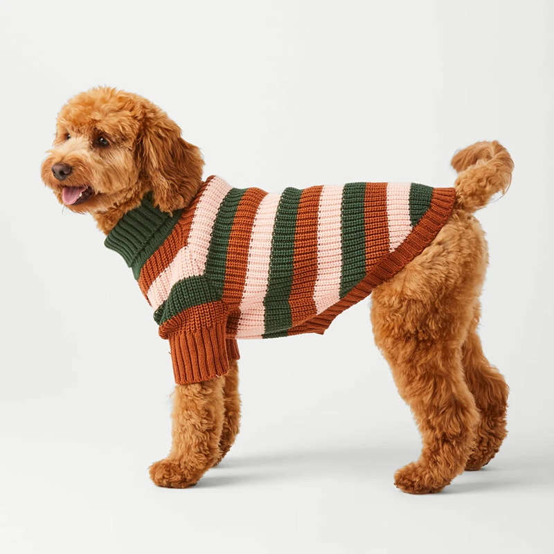 Gestreifter Winterpullover für Hunde