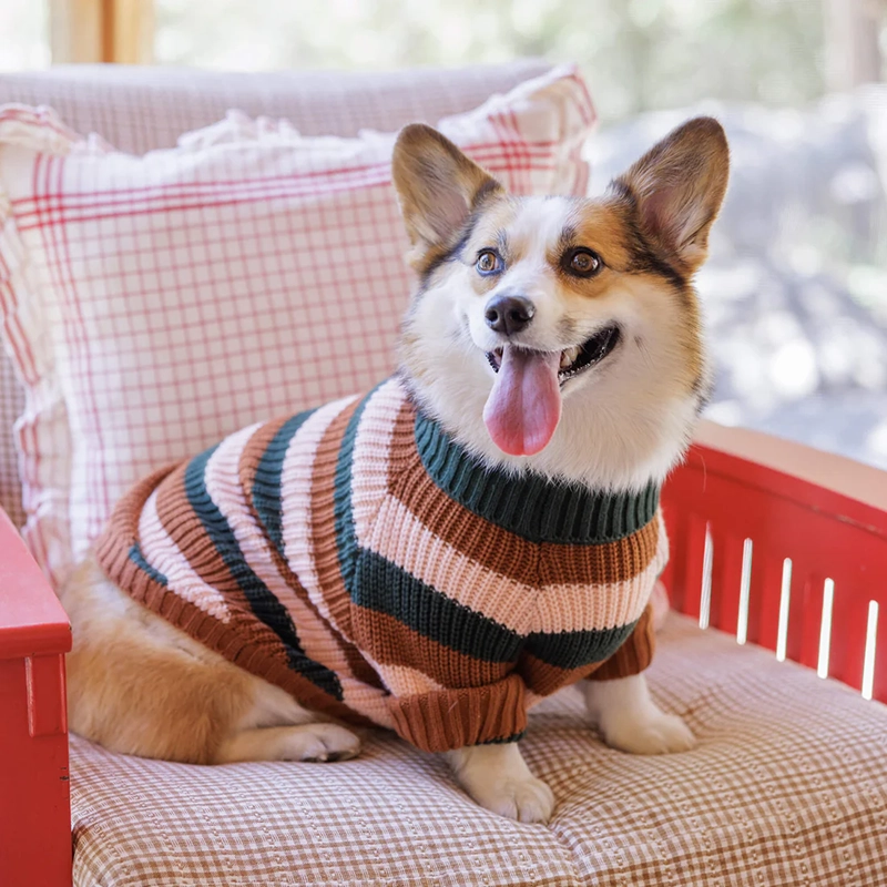 Gestreifter Winterpullover für Hunde