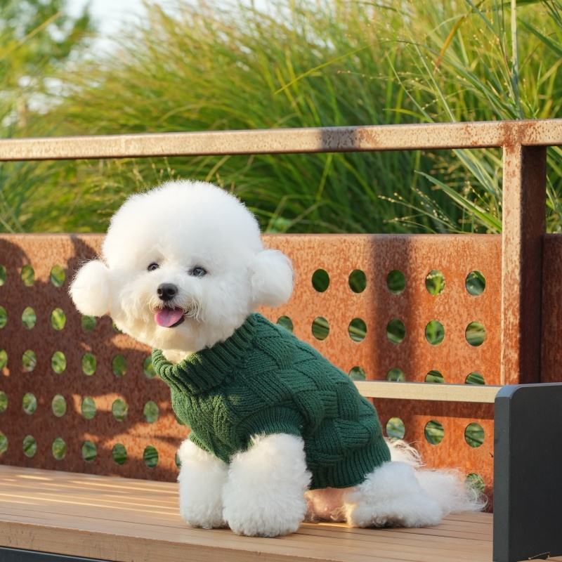 Hundepullover aus Strick – Warmer Luxus-Sweater für Haustiere