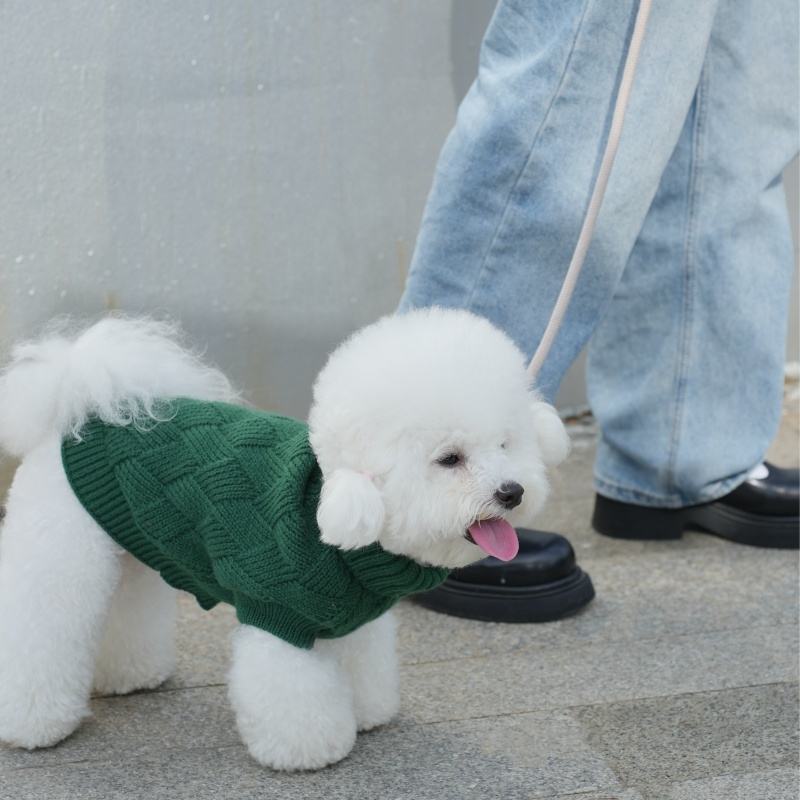 Hundepullover aus Strick – Warmer Luxus-Sweater für Haustiere