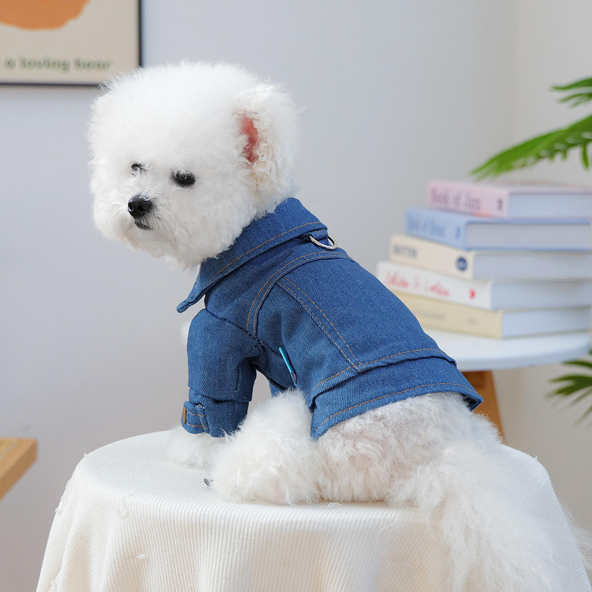 Klassische Jeansjacke für kleine Hunde