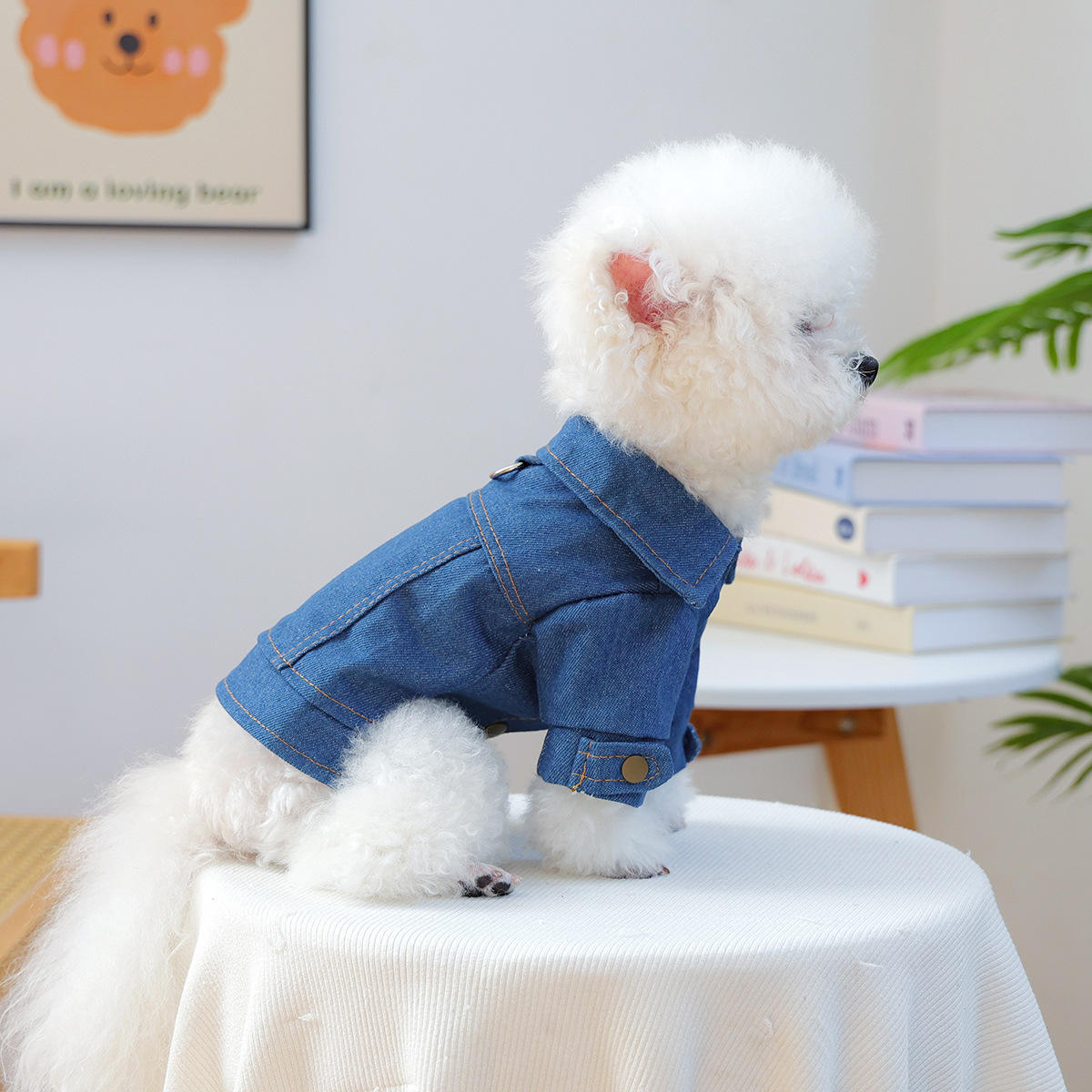 Klassische Jeansjacke für kleine Hunde