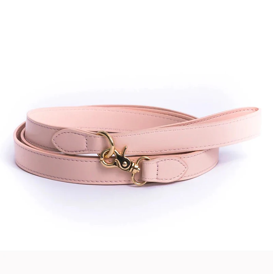 Luxuriöses veganes Hundehalsband & Leinen-Set
