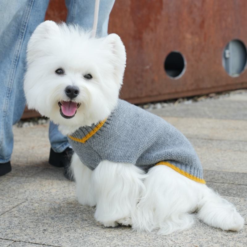 Warmer Strickpullover für Hunde & Katzen