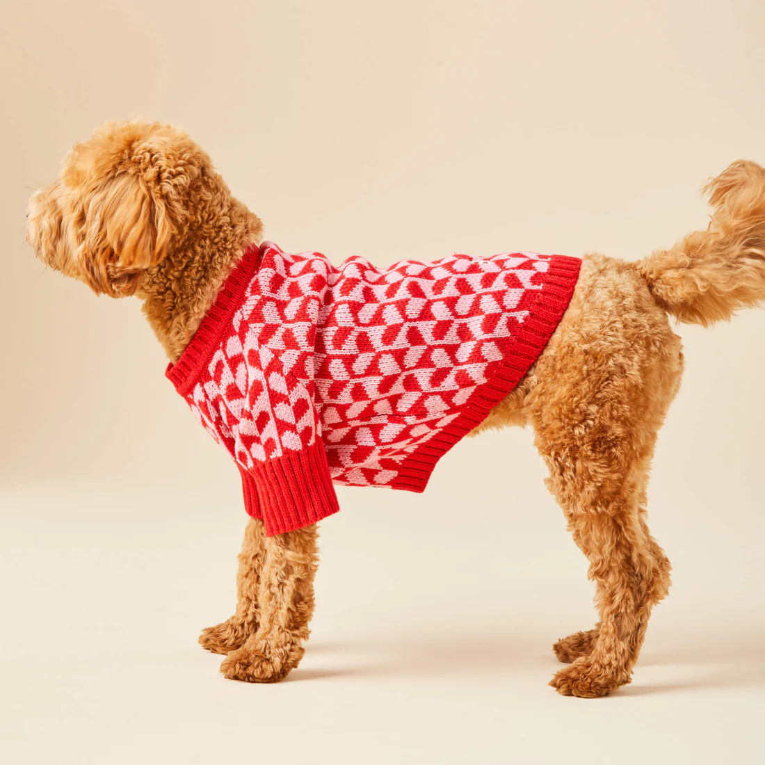 Weihnachtspullover für Hunde und Katzen
